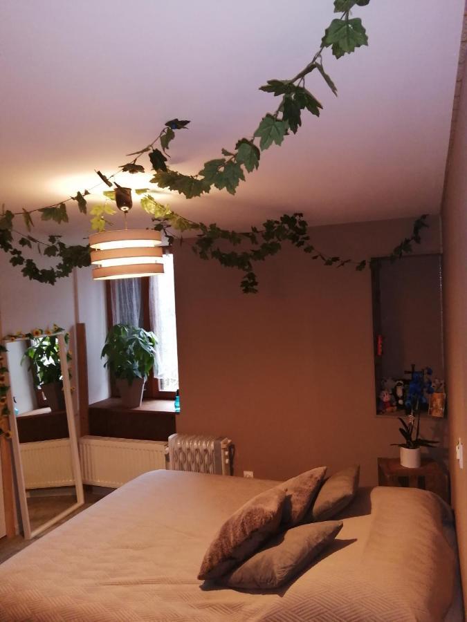 "Les Chaillottes" Chailles  Buitenkant foto